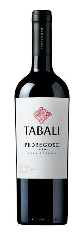 Vin – Tabalí Gran Reserva | Pernod Pedregoso Ricard Syrah